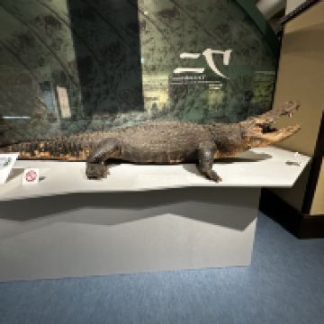 評論圖片 4