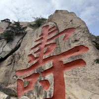 評論圖片 2