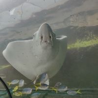 評論圖片 2