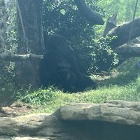 評論圖片 3