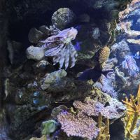 評論圖片 2