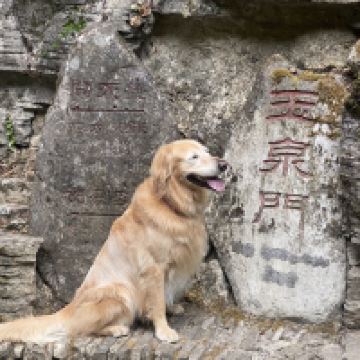 評論圖片 7