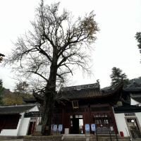 評論圖片 4