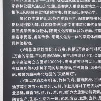 評論圖片 1