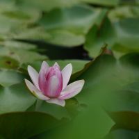 評論圖片 9