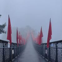 評論圖片 4