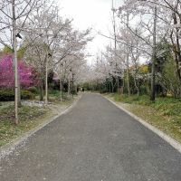 評論圖片 3