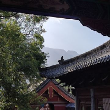 評論圖片 4