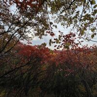 評論圖片 9