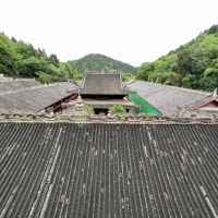 評論圖片 1