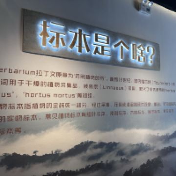 評論圖片 2