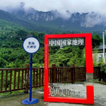 評論圖片 4