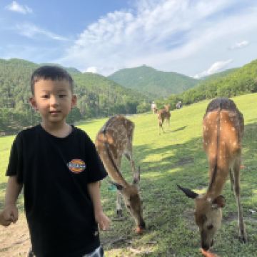 評論圖片 3