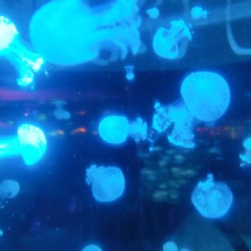評論圖片 3