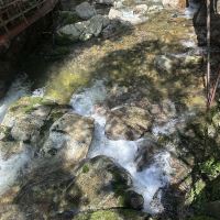 評論圖片 6