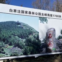 評論圖片 1