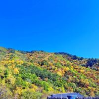 評論圖片 1
