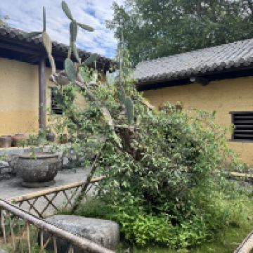 評論圖片 6
