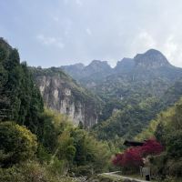 評論圖片 8