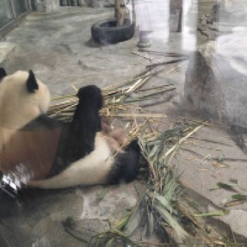 評論圖片 3