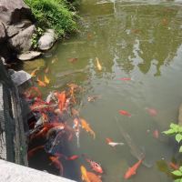 評論圖片 4