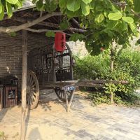 評論圖片 9