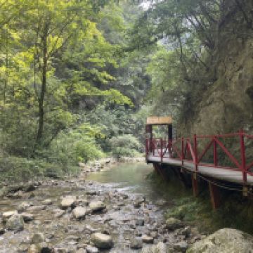 評論圖片 1