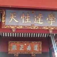 評論圖片 5