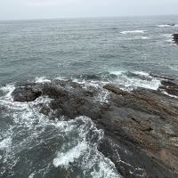 評論圖片 3