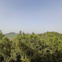 評論圖片 2