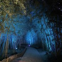 評論圖片 3