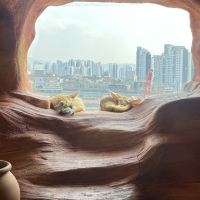 評論圖片 4