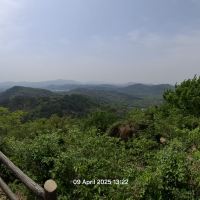 評論圖片 2