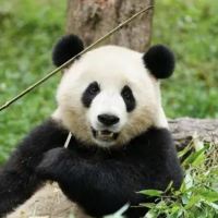 評論圖片 1