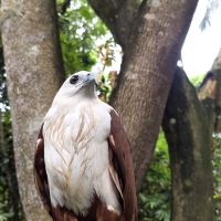 評論圖片 3