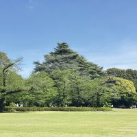 評論圖片 6
