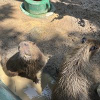 評論圖片 3