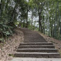 評論圖片 2