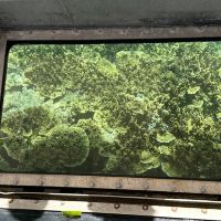 評論圖片 7