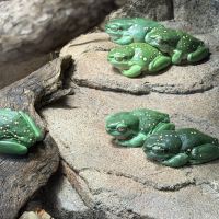 評論圖片 3
