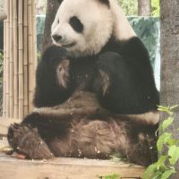 評論圖片 5