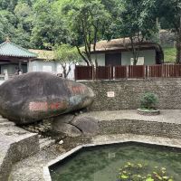 評論圖片 5