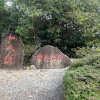 評論圖片 5