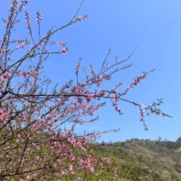 評論圖片 1