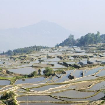 評論圖片 2