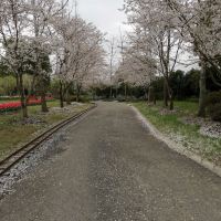 評論圖片 2