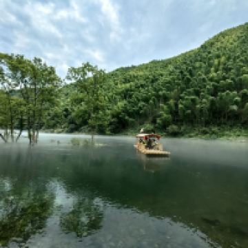 評論圖片 8