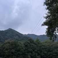 評論圖片 4