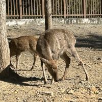 評論圖片 2