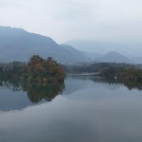 評論圖片 1